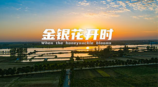 &#20061;&#28216;&#65288;&#78;&#73;&#78;&#69;&#71;&#65;&#77;&#69;&#65289;&#20013;&#22269;&#22823;&#38470;&#25163;&#26426;&#23089;&#20048;&#31532;&#19968;&#38376;&#25143;&#32;&#45;&#32;&#23448;&#26041;&#32593;&#31449;